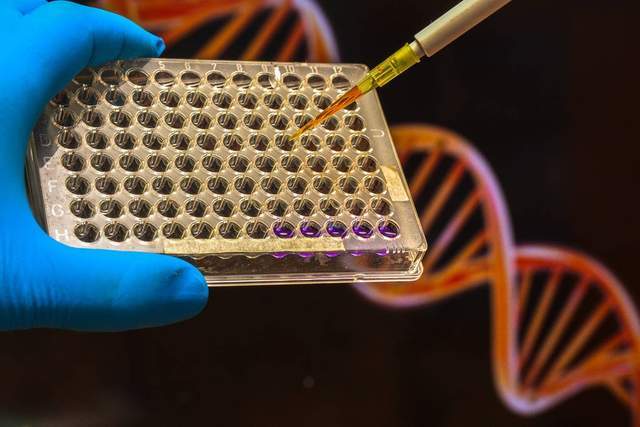 重拳出击<strong></p>
<p>生物科技公司</strong>！生物科技公司被“制裁”了:生物科技公司