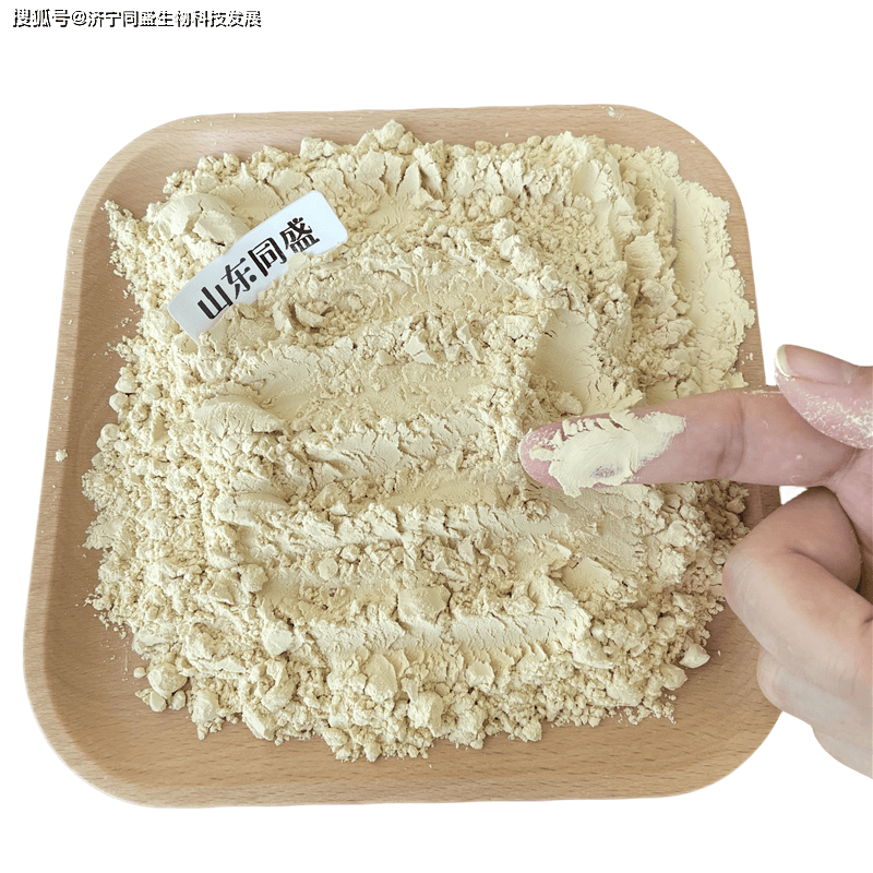 同盛生物科技公司大豆蛋白胨在医药发酵行业中的核心作用:生物科技公司