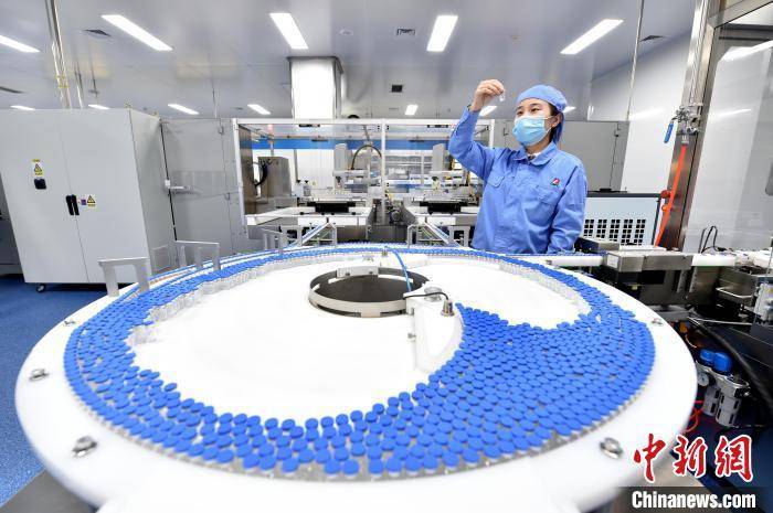 续写“华北药都”新篇章：石家庄全力打造千亿生物医药高地:生物医药